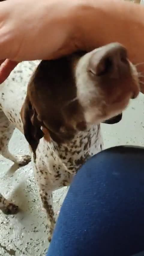 Bosses doggeh can't get enough of me