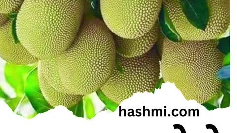 Three amazing benefits of eating jackfruit