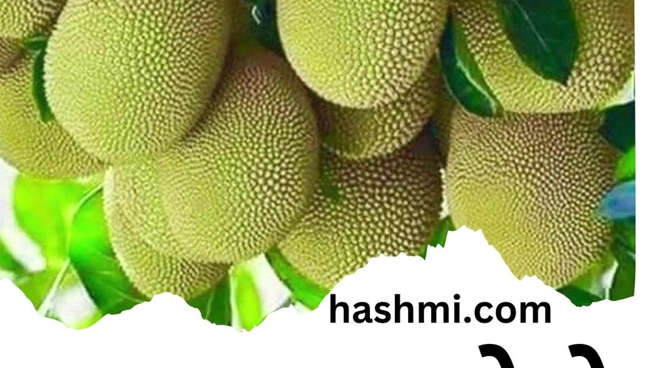 Three amazing benefits of eating jackfruit