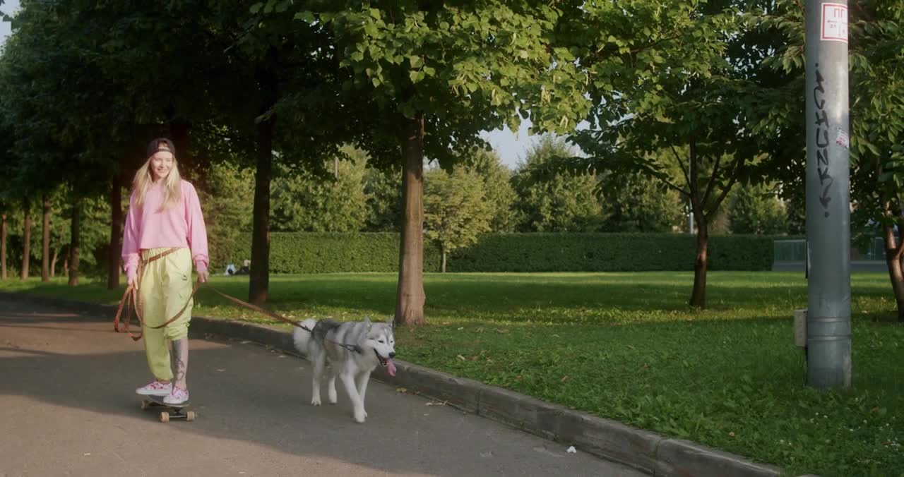 , dog and cat, funny cat and dof