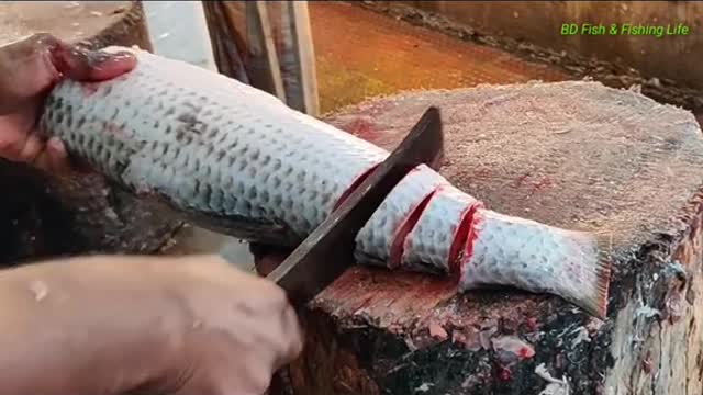 Fishing skills