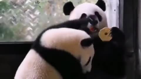 Don't touch my food it's mine!!!!!