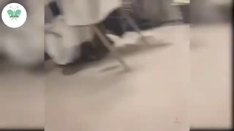 Funny and intresting video