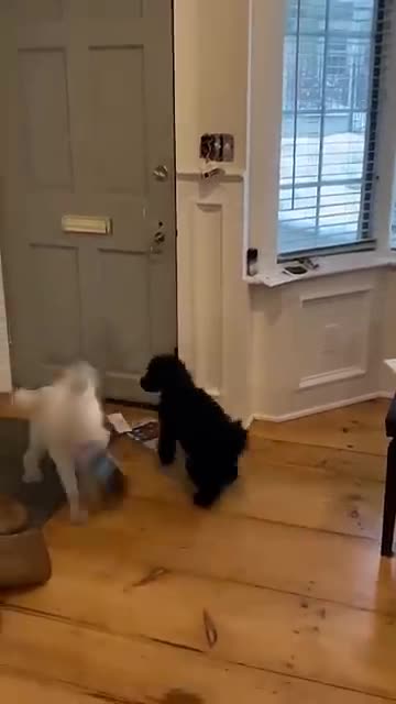 The End 😂😂😂