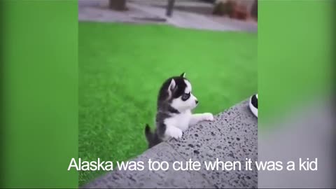 when alaska was a kid（6）