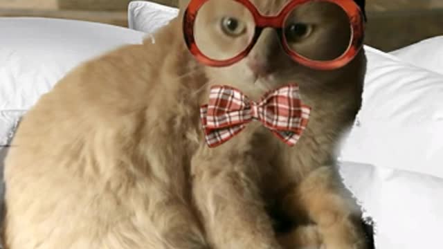 Bernard on the nip