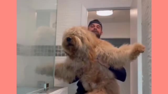 Watch this Dog crazy reaction at bath time!