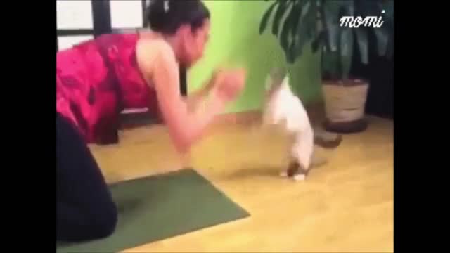 funny mum and cat