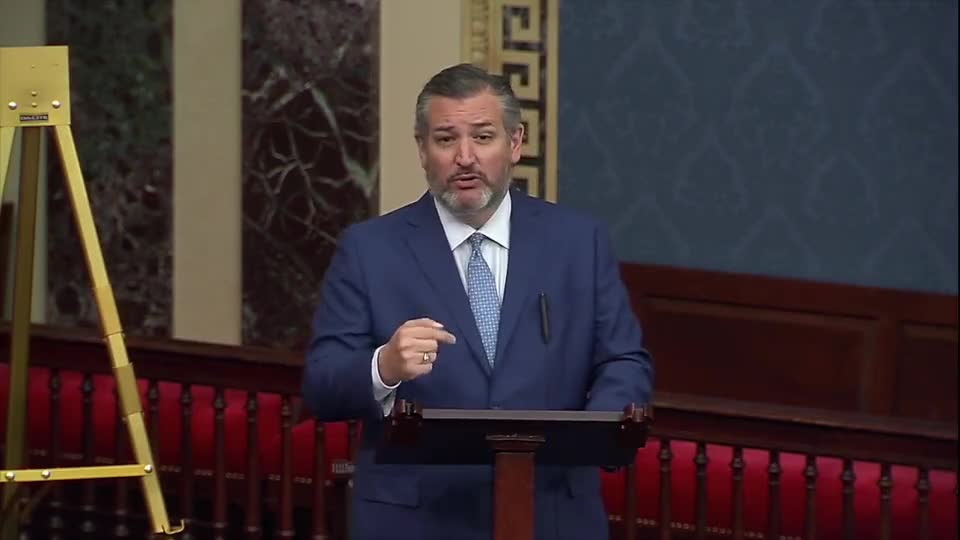 Cruz Hits The Nail On The Head...Again!