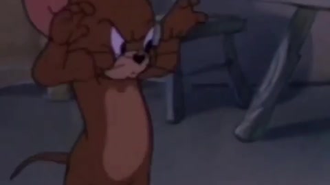 Tom and jerry | Tom & Jerry