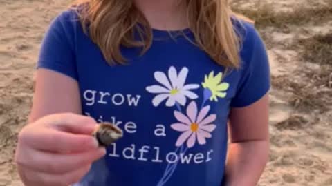 Hermit Crab FOUND on Sunset Beach