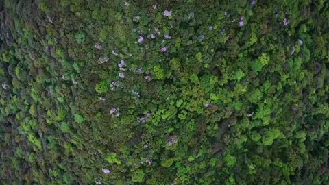 Aerial Photography Sky City, Fanjing Mountain, Guizhou【Curious China】2