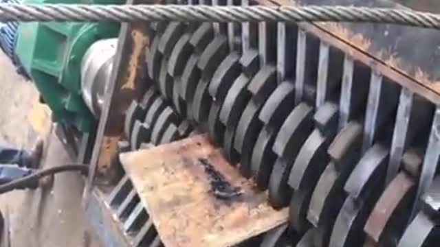 Nothing stays alive with this machine