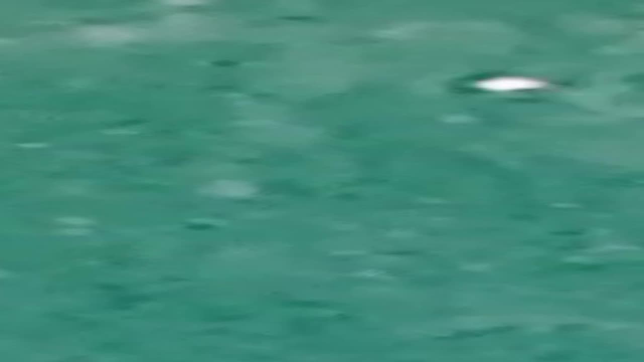 paranormal