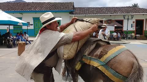 Arrieros del eje cafetero Colombia