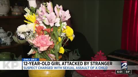 Illegal Alien Attacks 12 Year Old Girl