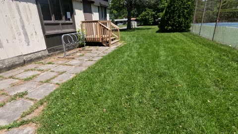 🧽 Volunteering My⌚ @Steve Mclean Park #87 In Ottawa 🦋 Canada 🍁