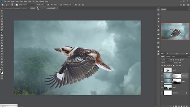 Import New Pictures And Adjust Mode
