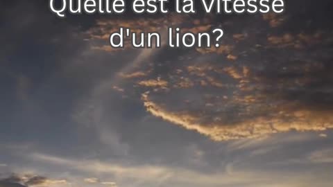 Fait sur le Lion 8 - Quelle est la vitesse d'un lion?