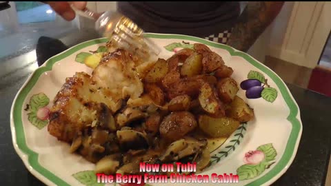 The Berry Farm Chicken Cabin Now ON Tubi