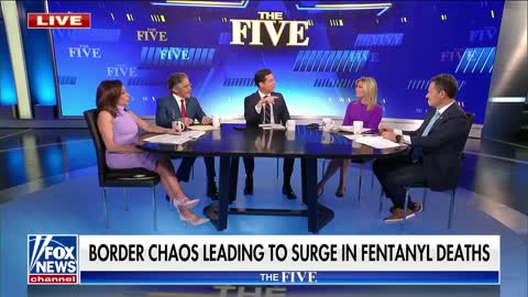 Fentanyl crisis an undeclared war by China against the US: Pirro