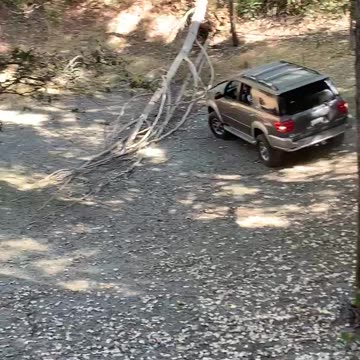 Sergio off-roading