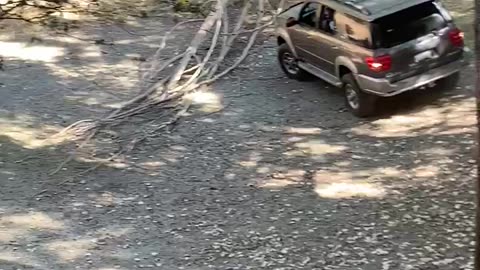 Sergio off-roading