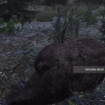 The Deers In DayZ Are Evolving