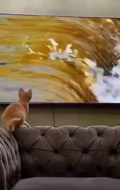 Lol the struggle is real