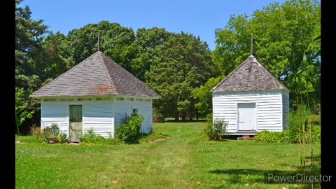 Poplar groove plantation