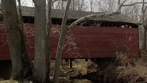 Elf-Man - Full Christmas Holidays Comedy Movie - Wee Man - Family Central