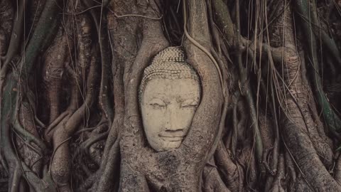 The Buddha and His Dhamma - The Deepest Truths of Existence!