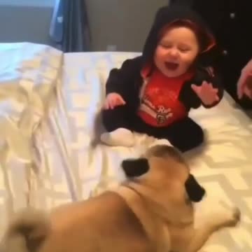 Haha, baby, I love you🥰🤩😍