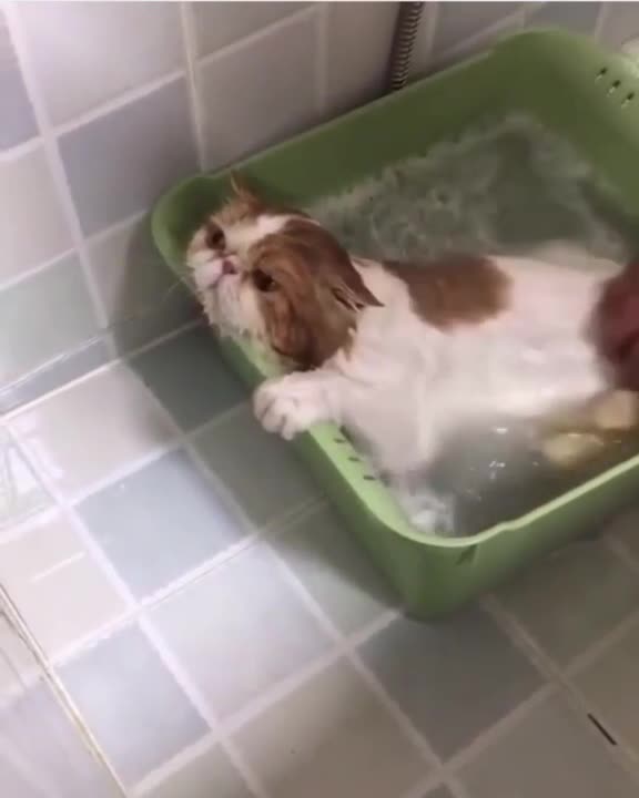 I did not know this was the plan