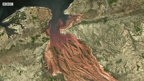 How Deforestation Looks From Space | Earth From Space | BBC Earth