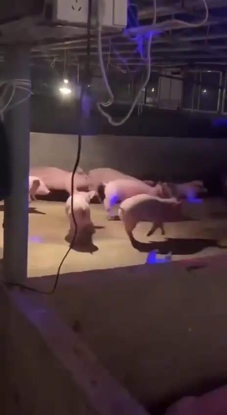 Mosh pit 😂😂😂