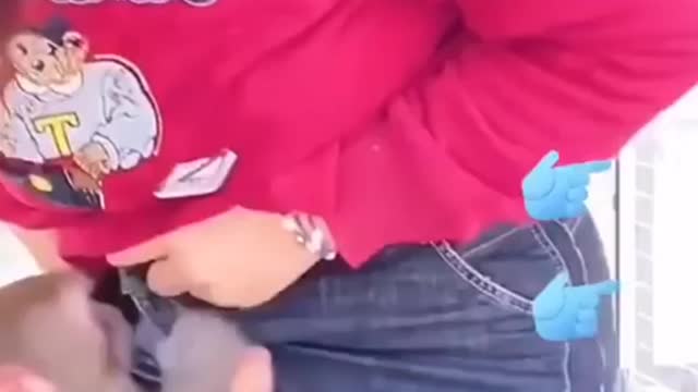 Funny monkey opening girl jeans 🤣