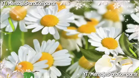 MIX DE 2 HORAS CON LOS MEJORES ÉXITOS CRISTIANOS DE MARCO ANTONIO SOLIS