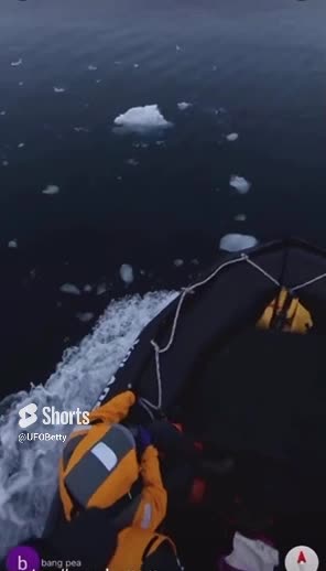 Antarctica Aquatic Aliens ETs ??