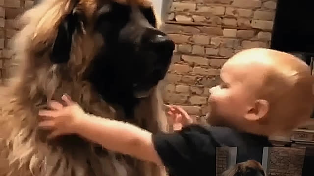He's older than his son