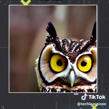 Amazing 😍🤩 Ai tools 🔥🔥🔥