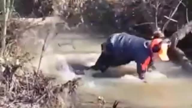 very very funny short video