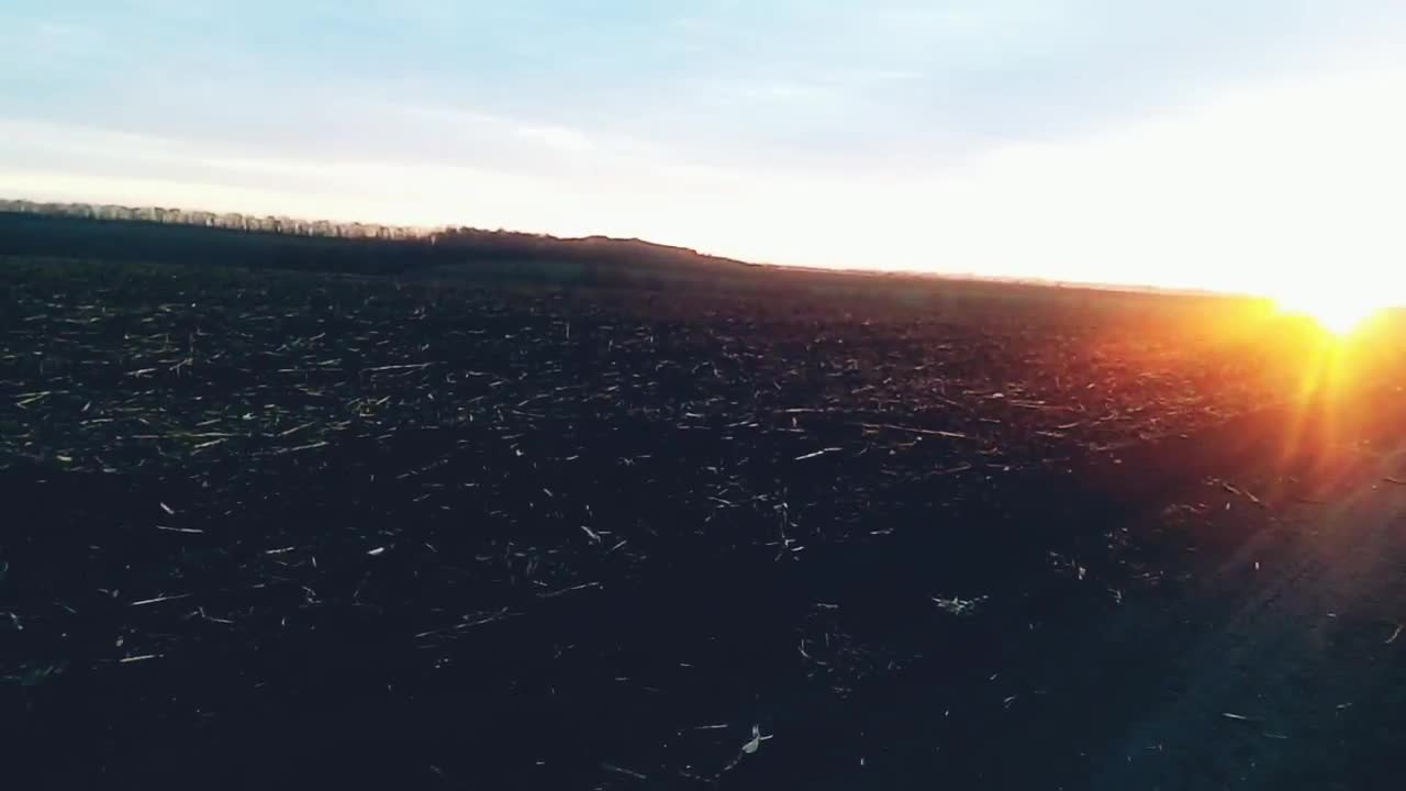 Summer sun