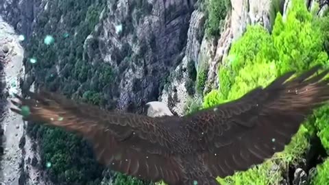BEAUTIFUL NATURAL SITES