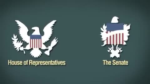US Elections - How do they work?