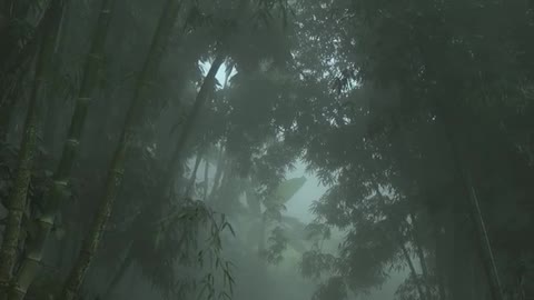 Find a quiet place and listen to the rain