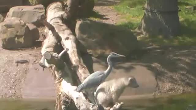 UNEXPECTED FRIENDSHIP