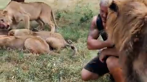 Having Fun With The Lions