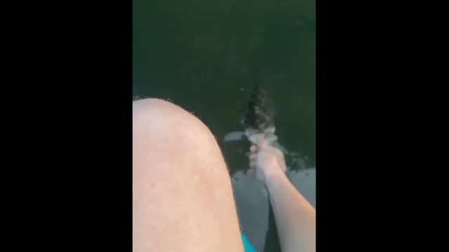 Fish Jumps On Man