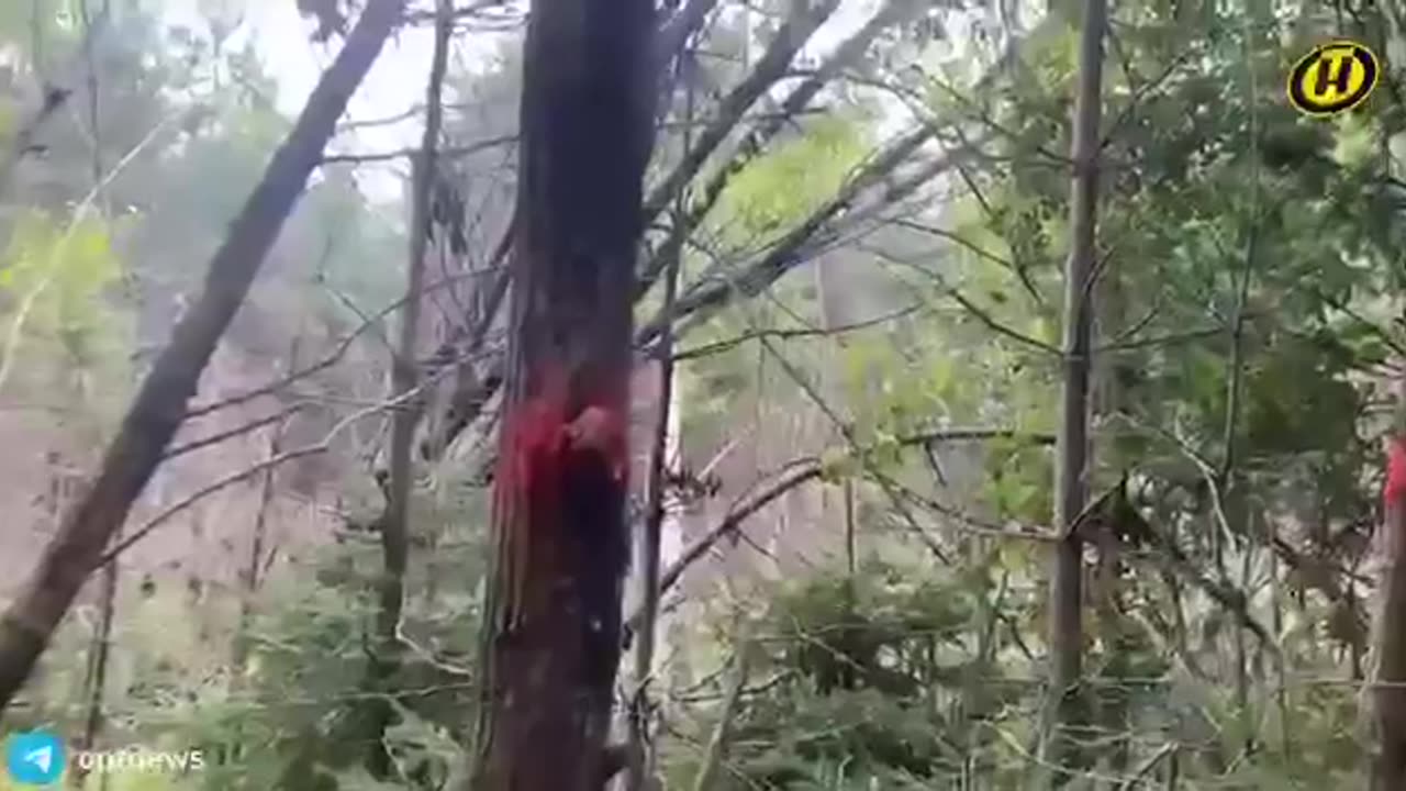 ATAQUE UCRANIANO A BIELORRUSIA